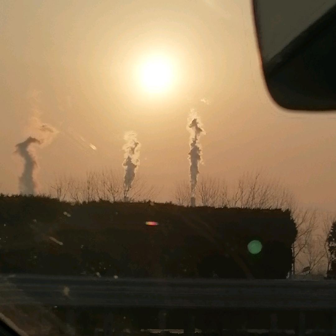 不吃香菜的😝虞🍁