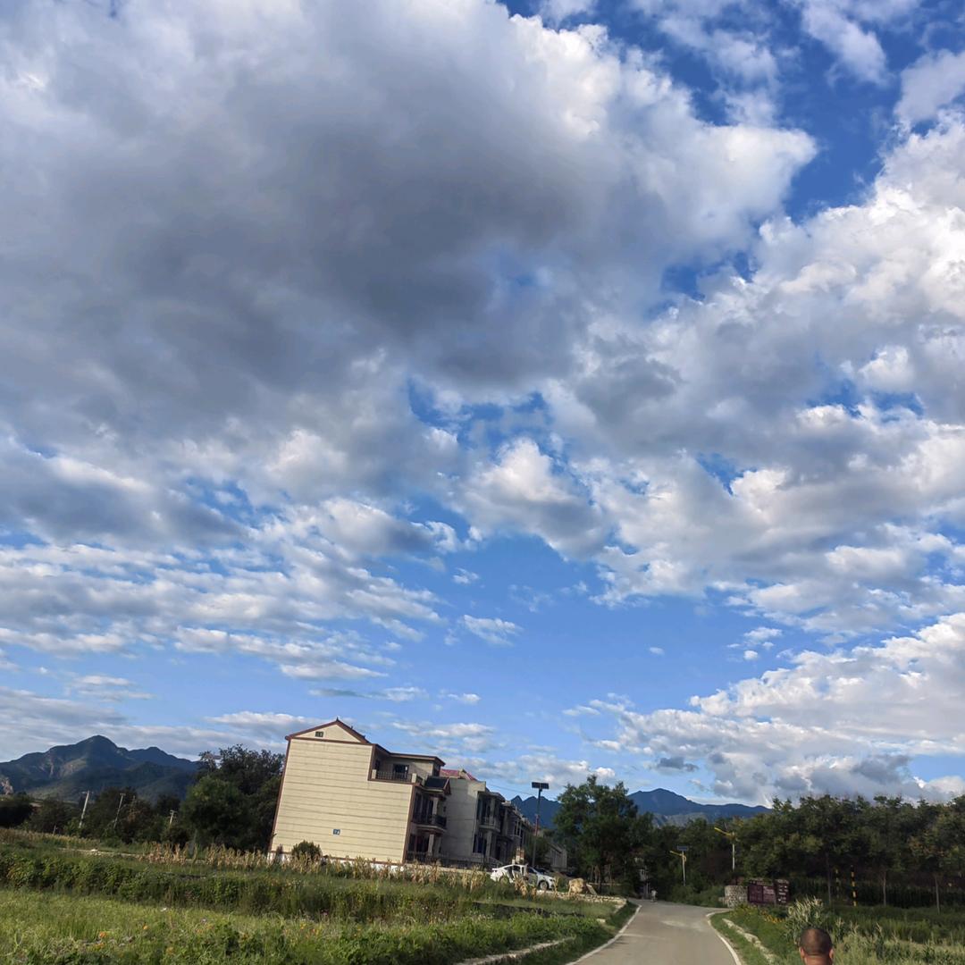 风雨同“周”