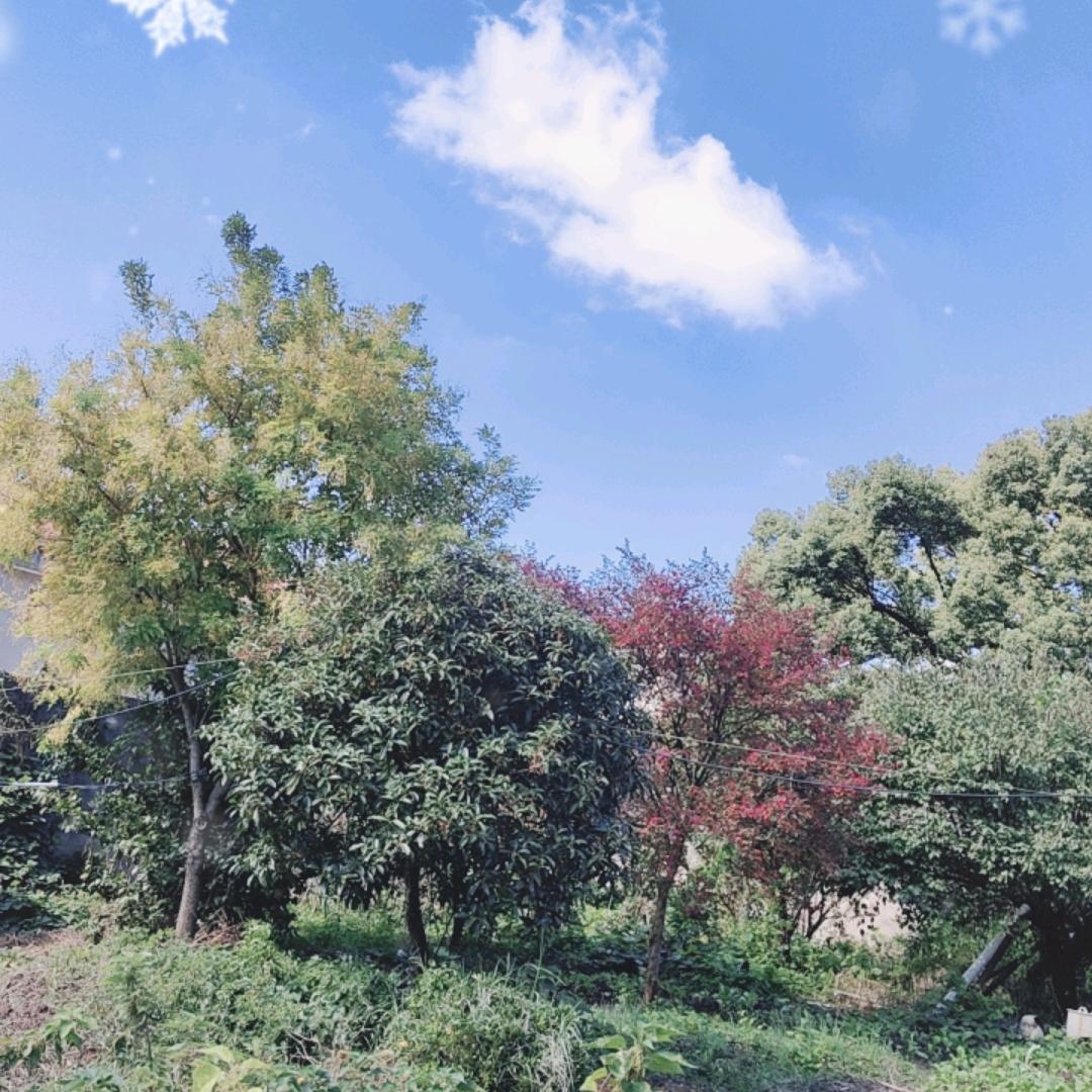 过往烟云
