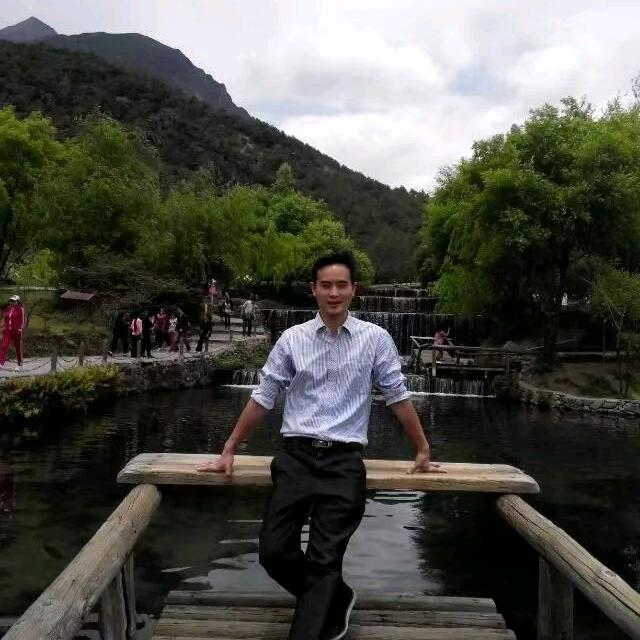 杨无悔
