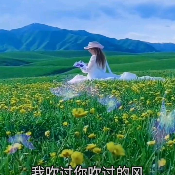 苹安一生