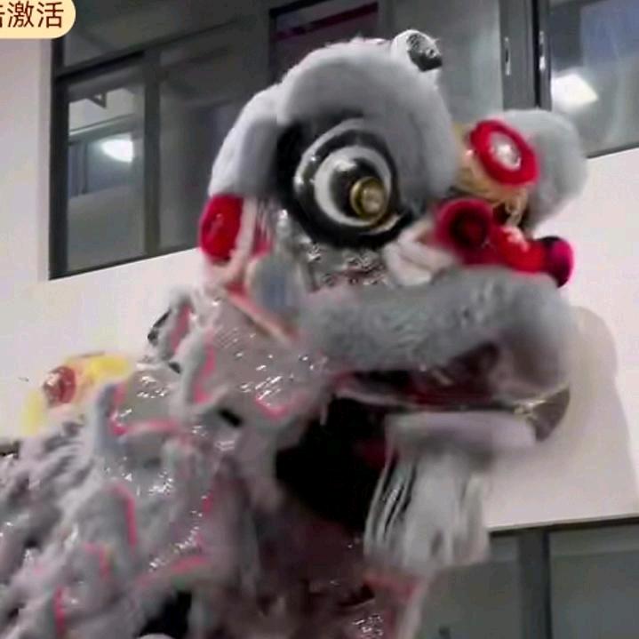 振興雄狮團