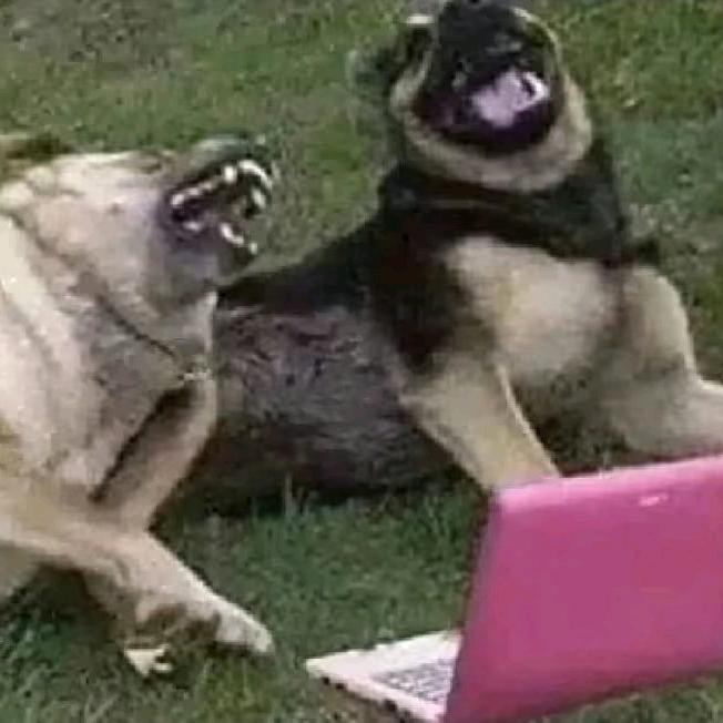 @鹰匠五金工具批发2