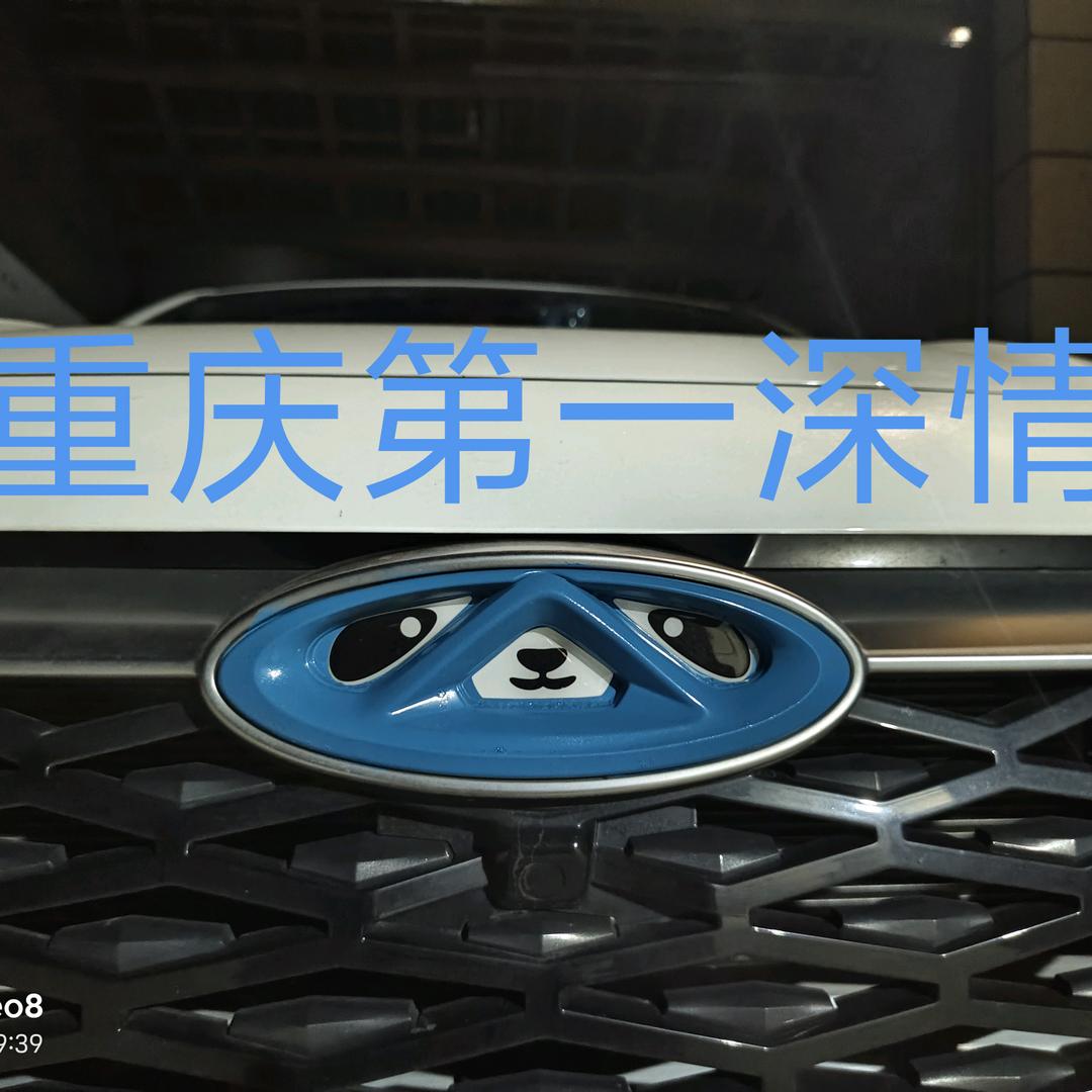 重庆艾瑞泽8俱乐部