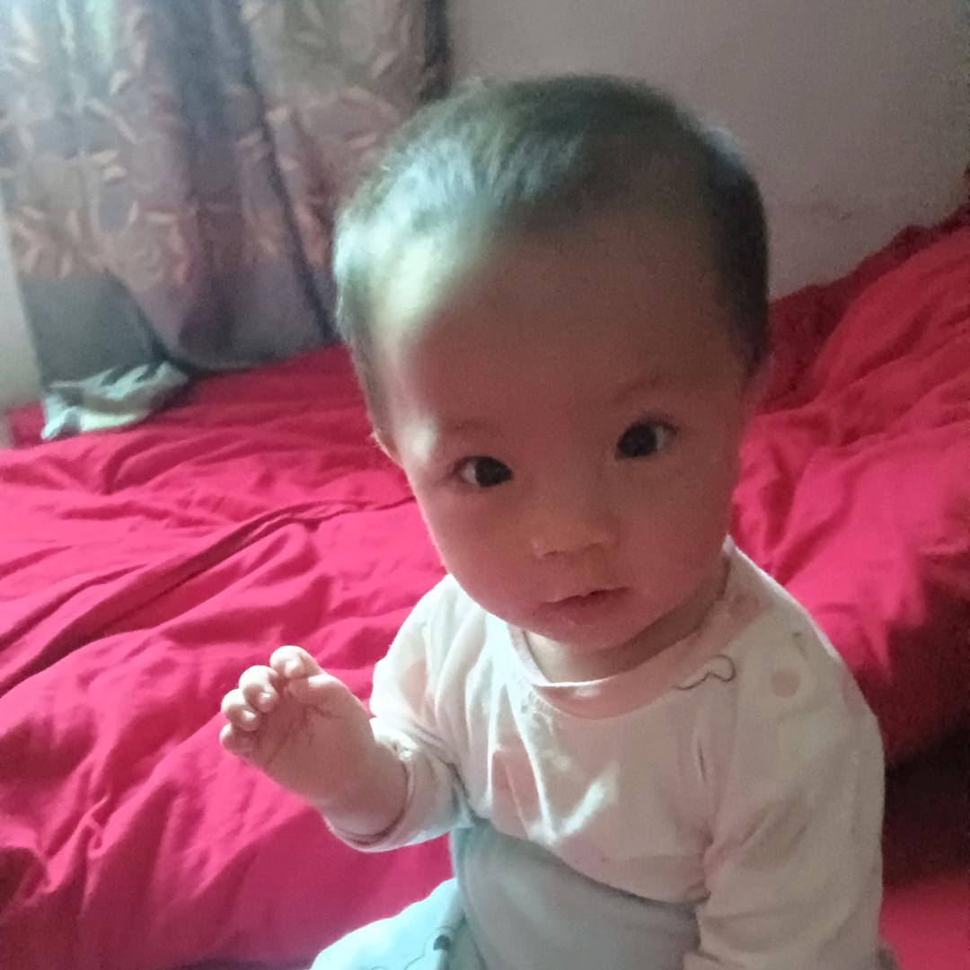 格桑花