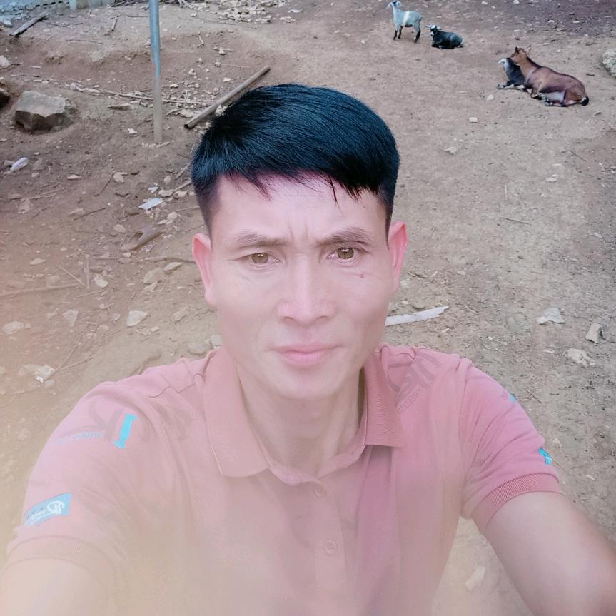 专业承包建设工程小罗