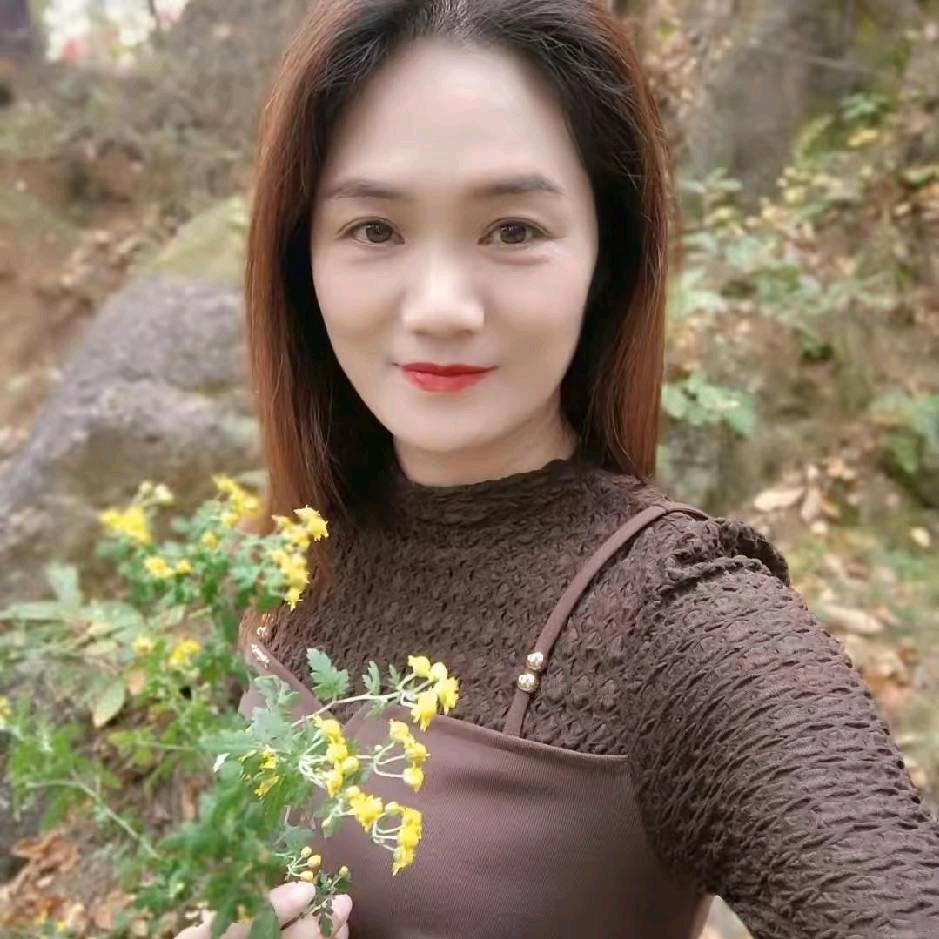 雨后的玫瑰
