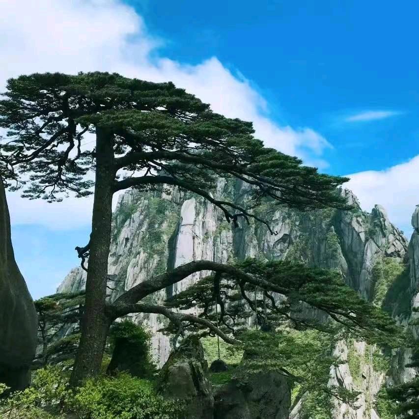 幸福美满