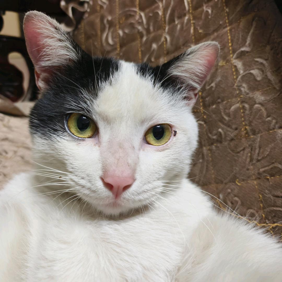 躺平躺成你主银