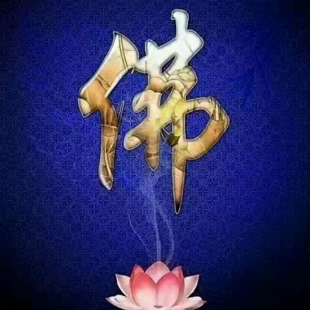 善缘堂莹莹