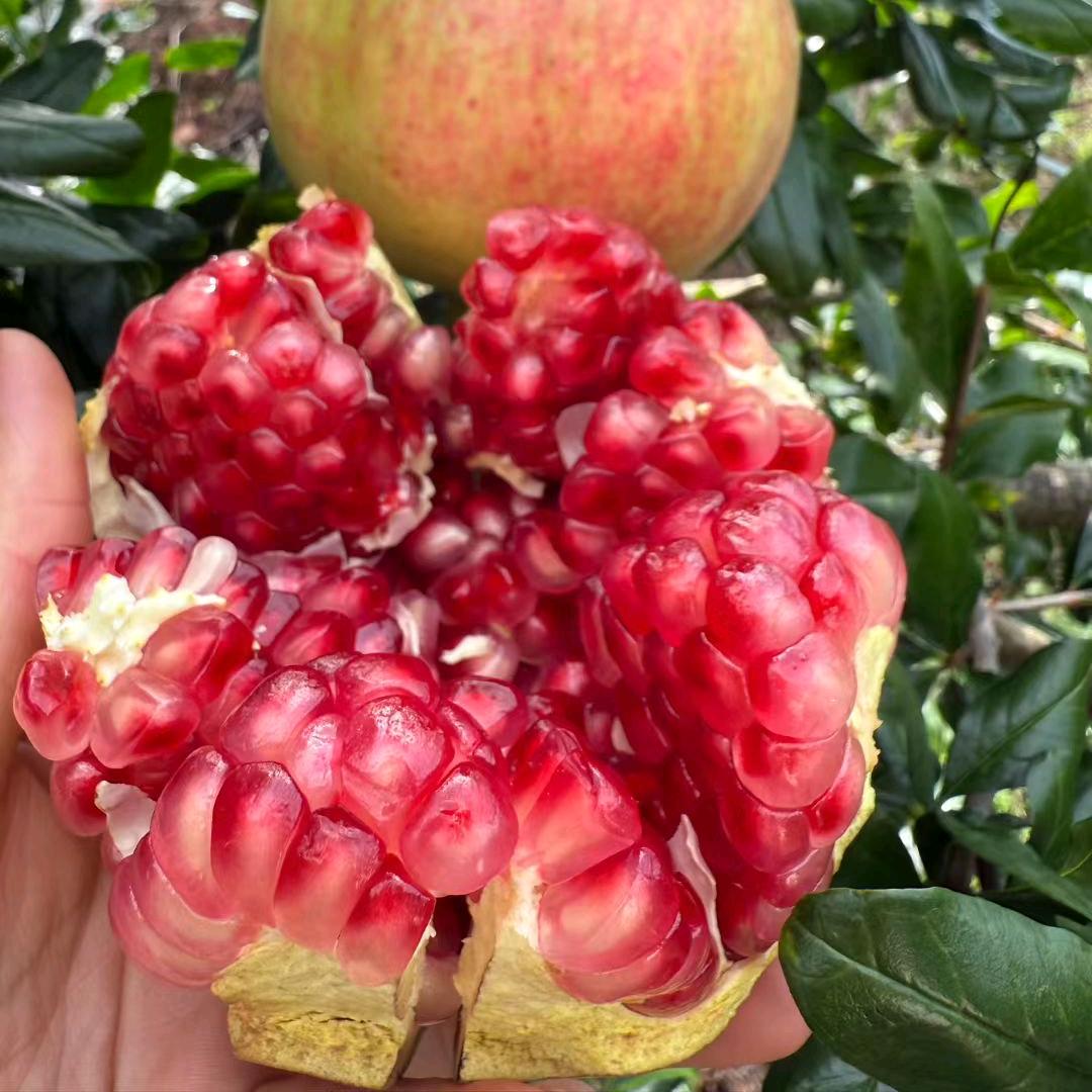 四༖海♐为⇆家