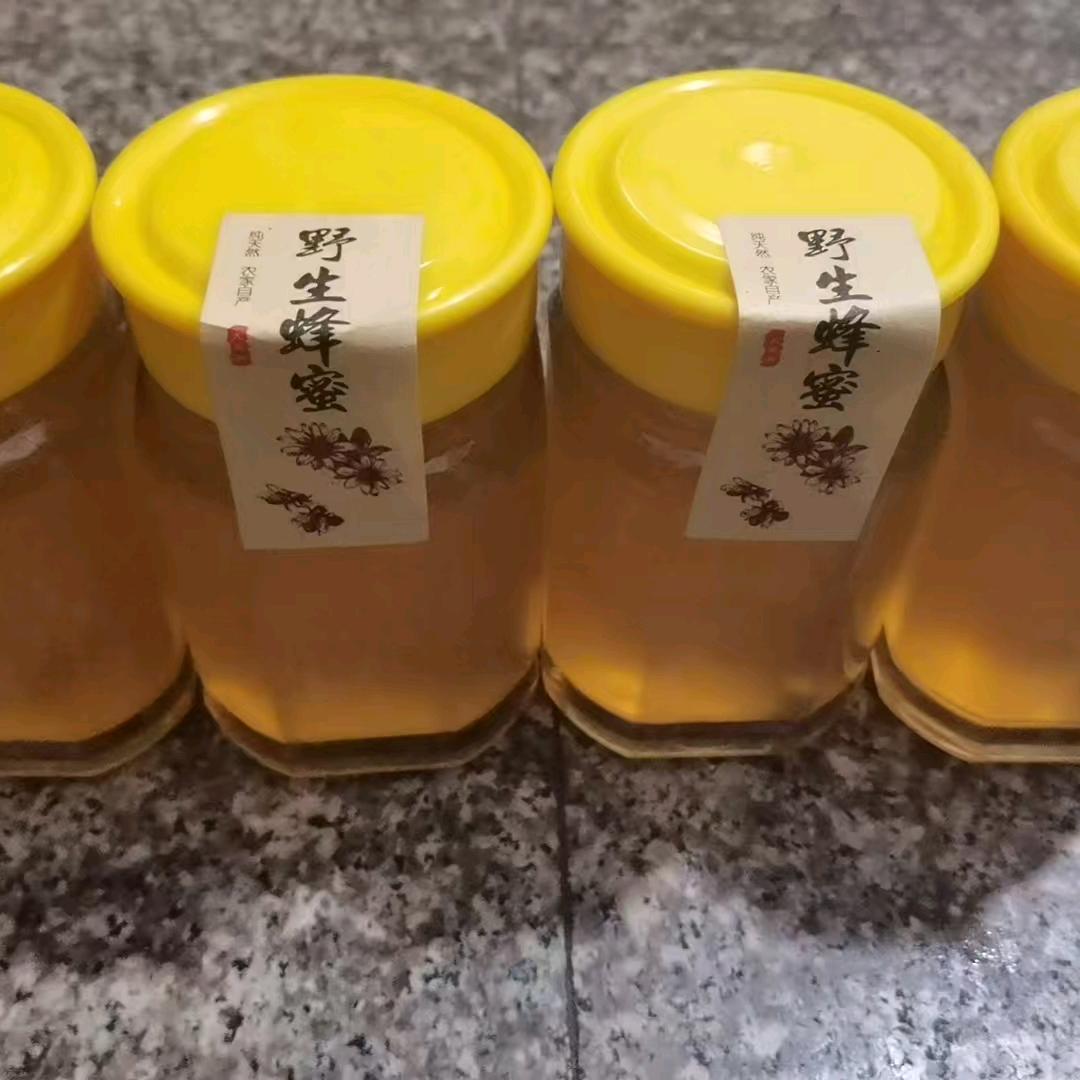 七～安（邂逅蜂仙子）