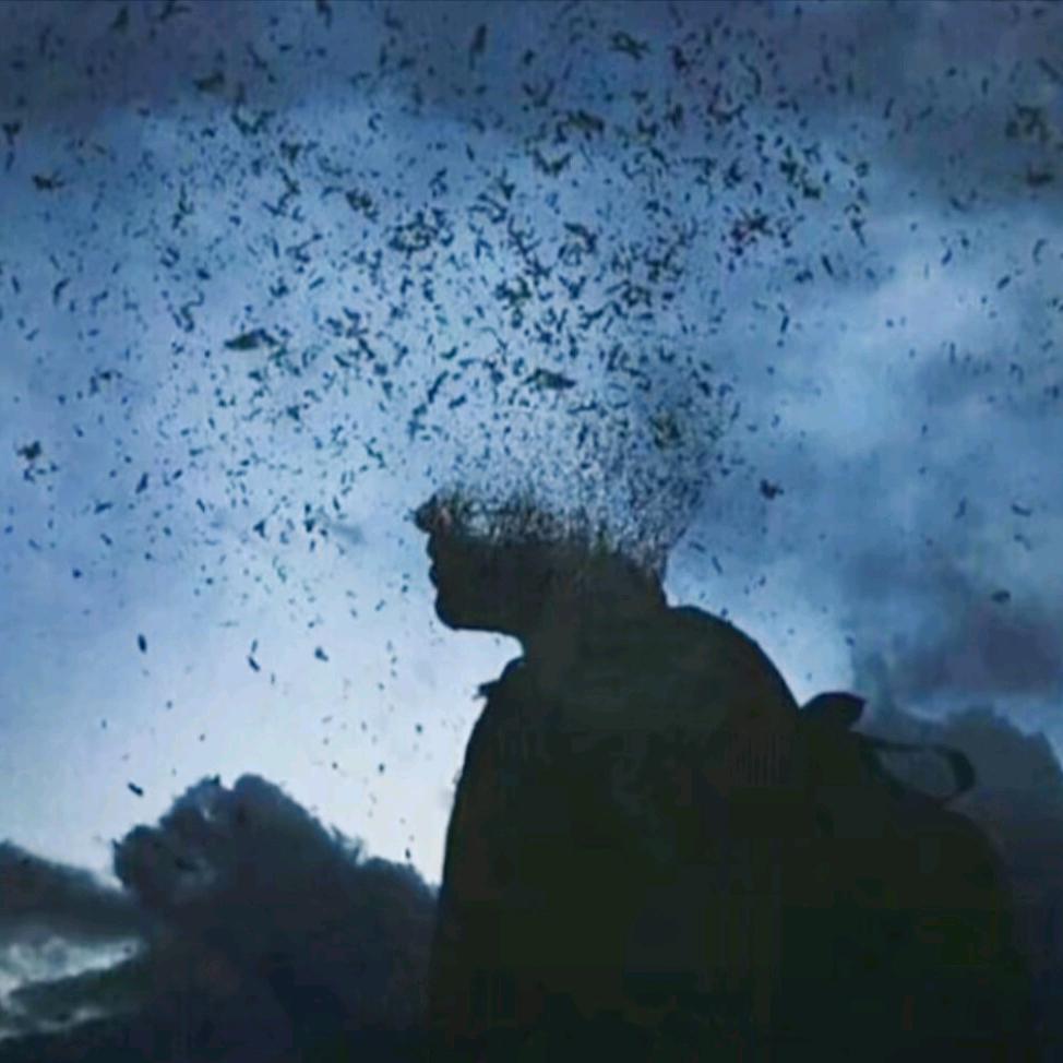 鸽子花农业有限公司-桂腾肖