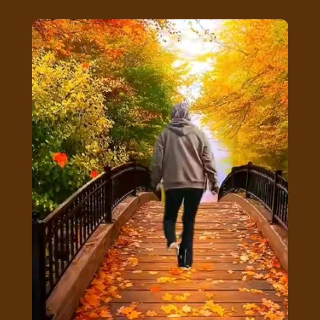 伤不起