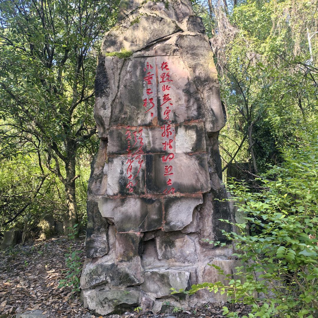 沉稳行者