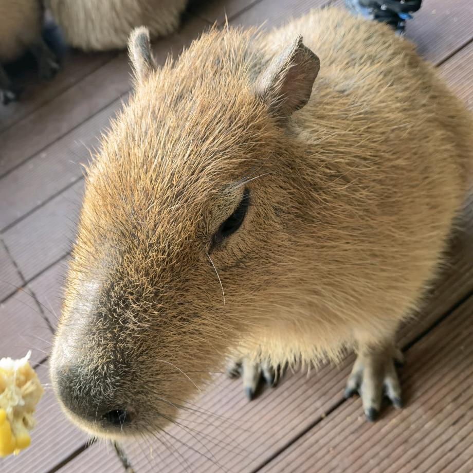 伍陆柒的七