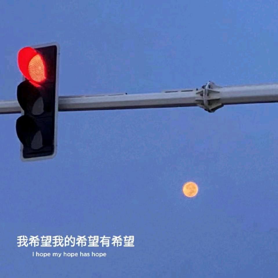 诺诺小宝贝