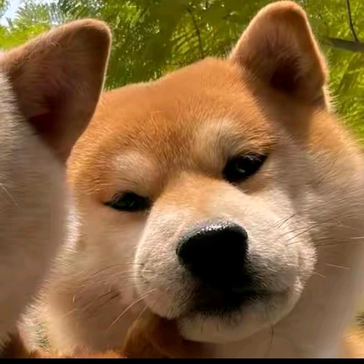 Lun