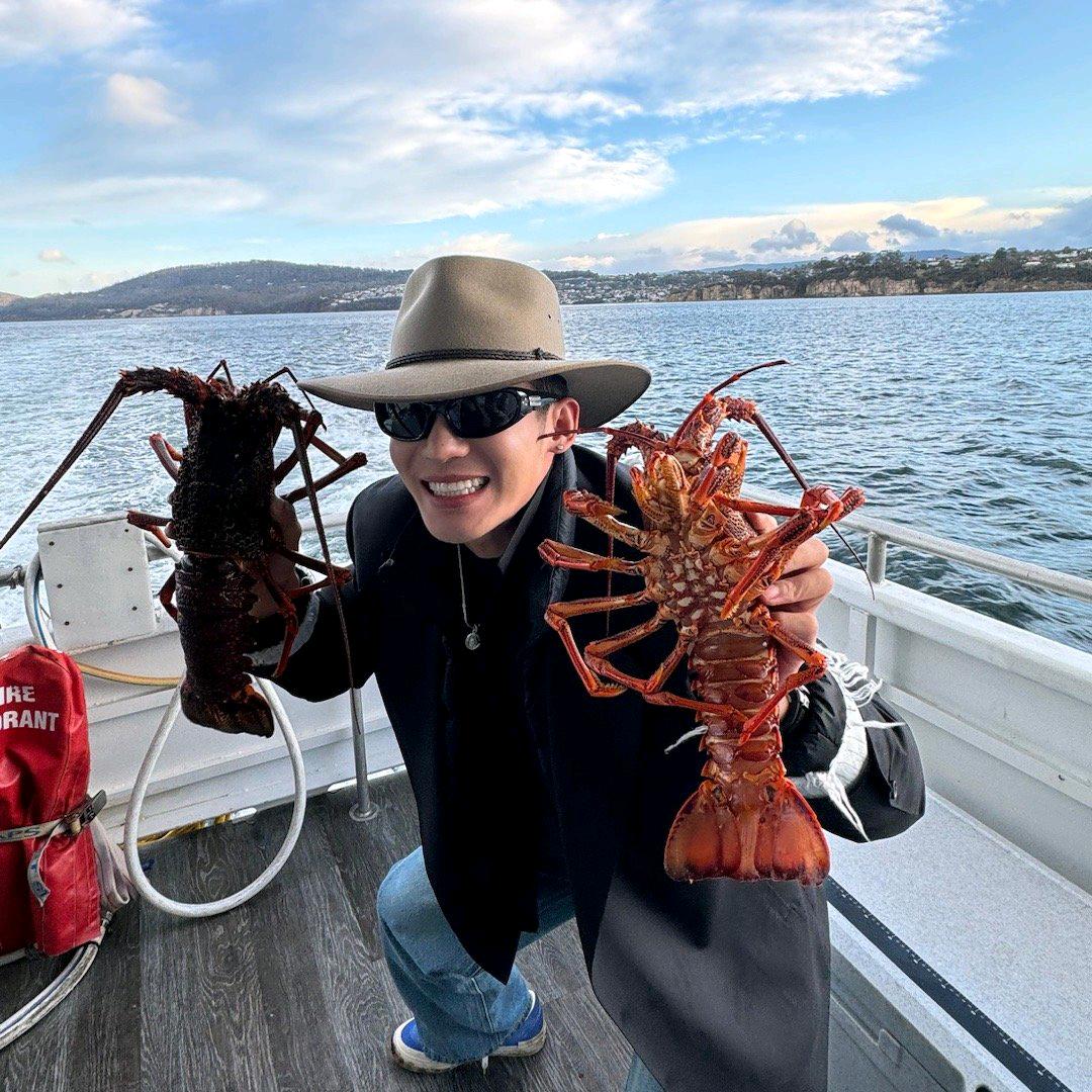 微白城市（见过鹿晗和于适版