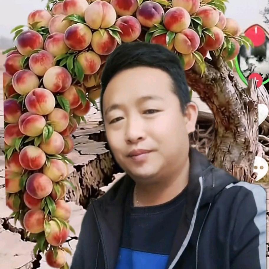 手心中的未来