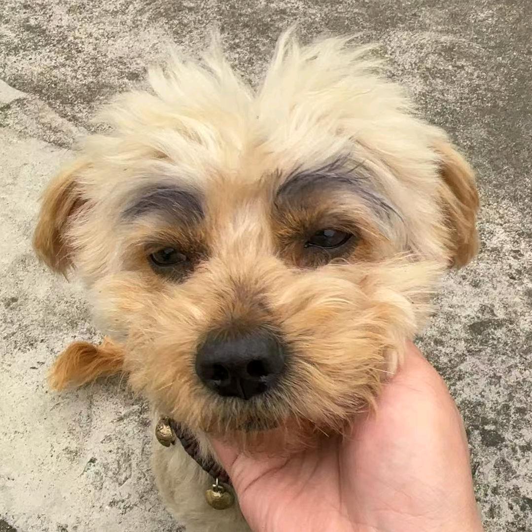 锅锅就爱锅锅
