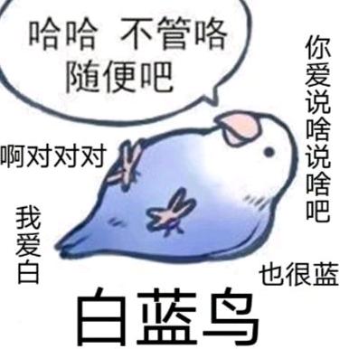 白蓝小鸟