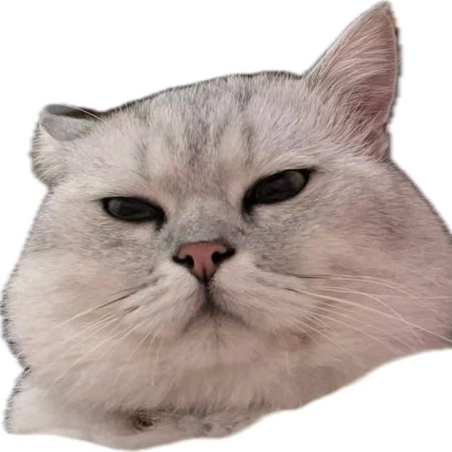 风韵