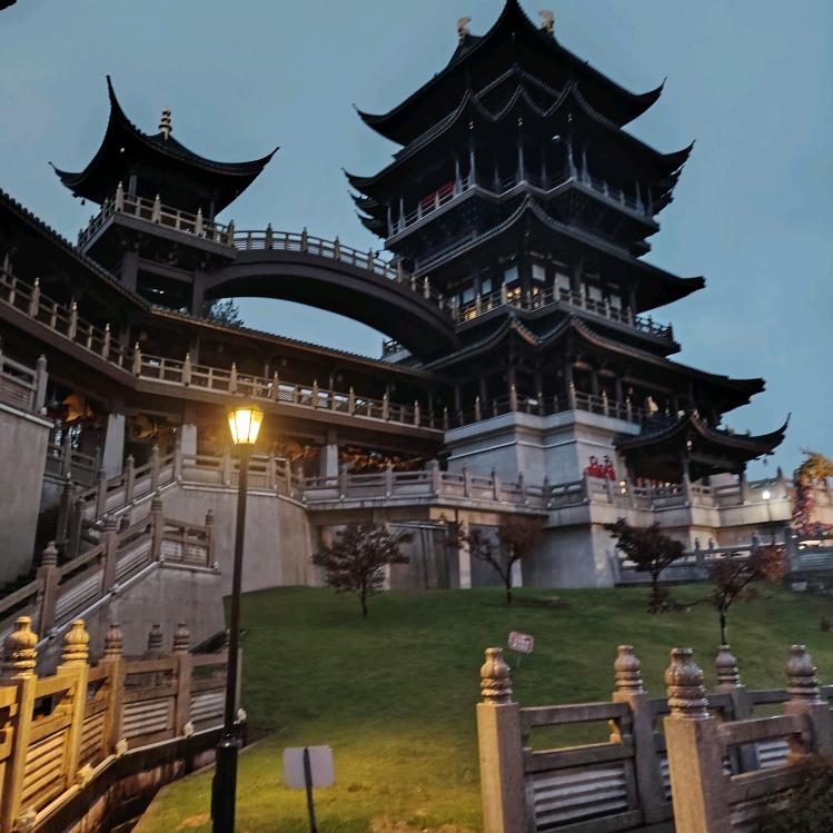 摆烂小鱼