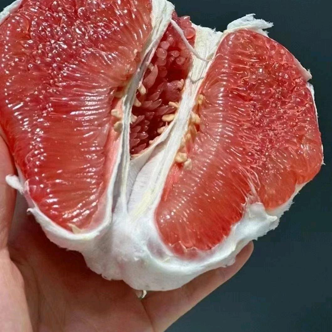 秋