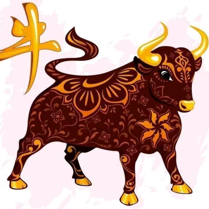 礼县农茂源农民专业合作社