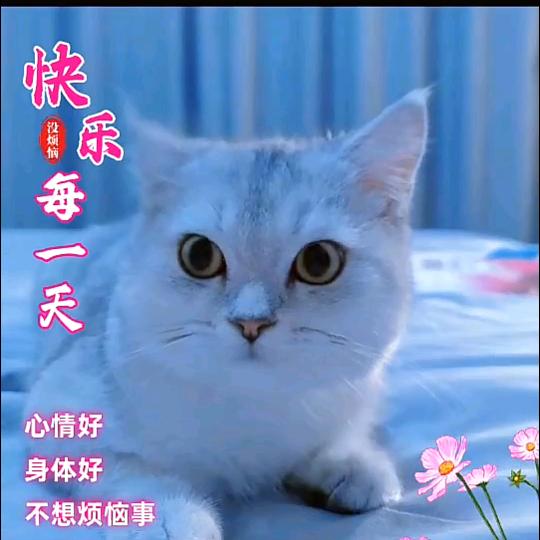 🌻💕好久不见💕🌻