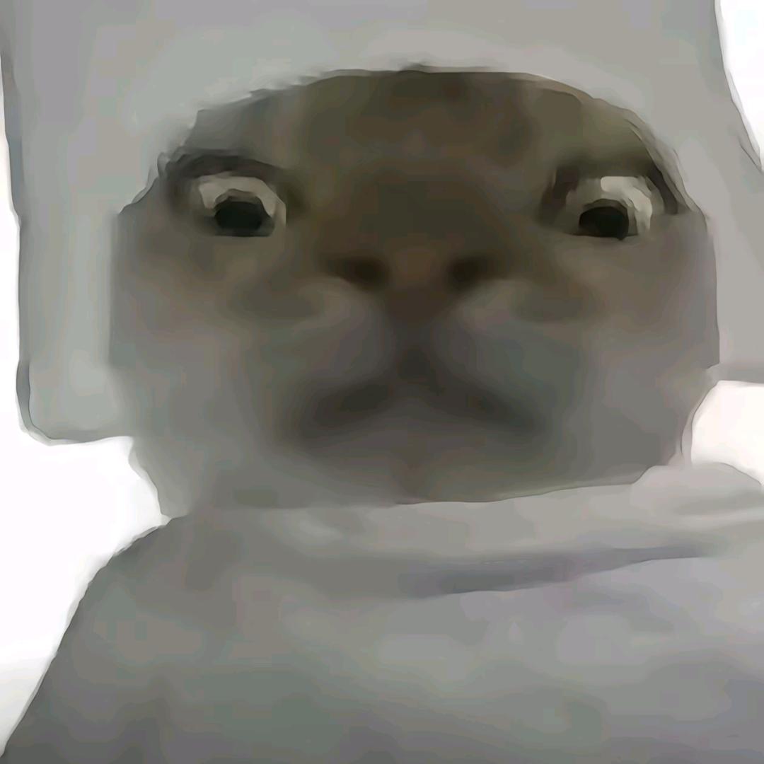 九
