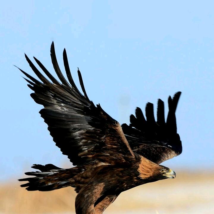 🇨🇳幸福哥🇨🇳