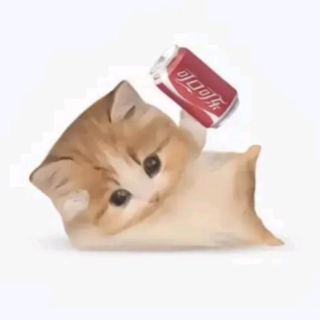 你喝不喝扣扣扣漏