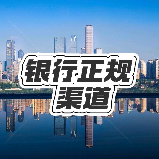 重庆金融小莫