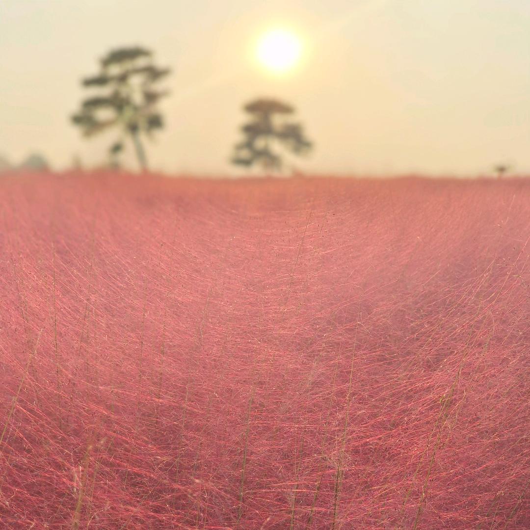 孙小样