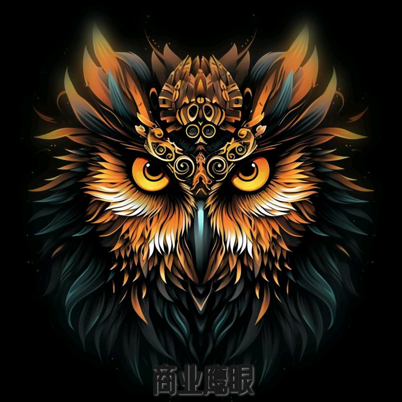 商业鹰眼