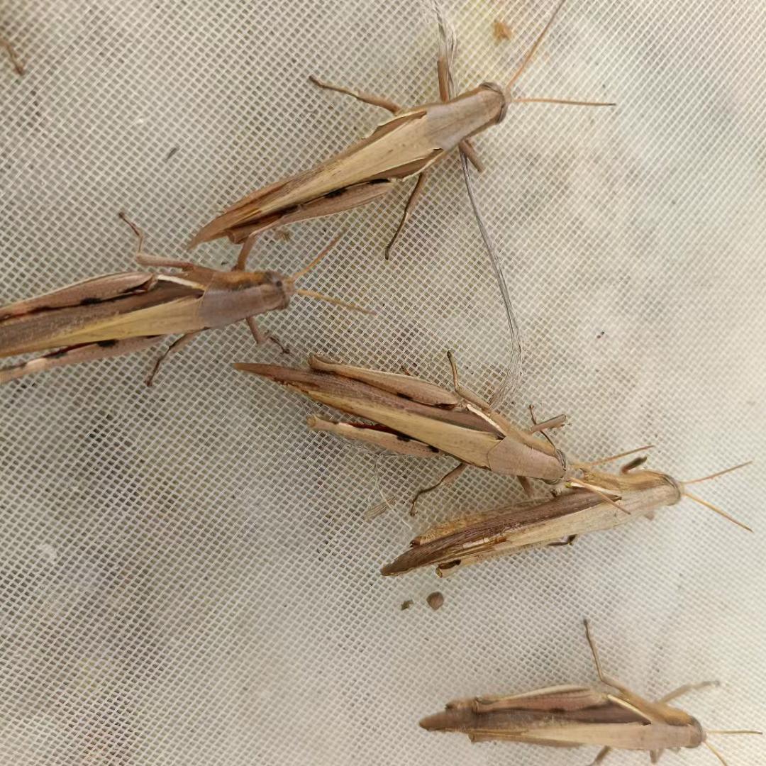 发云精品优选铺