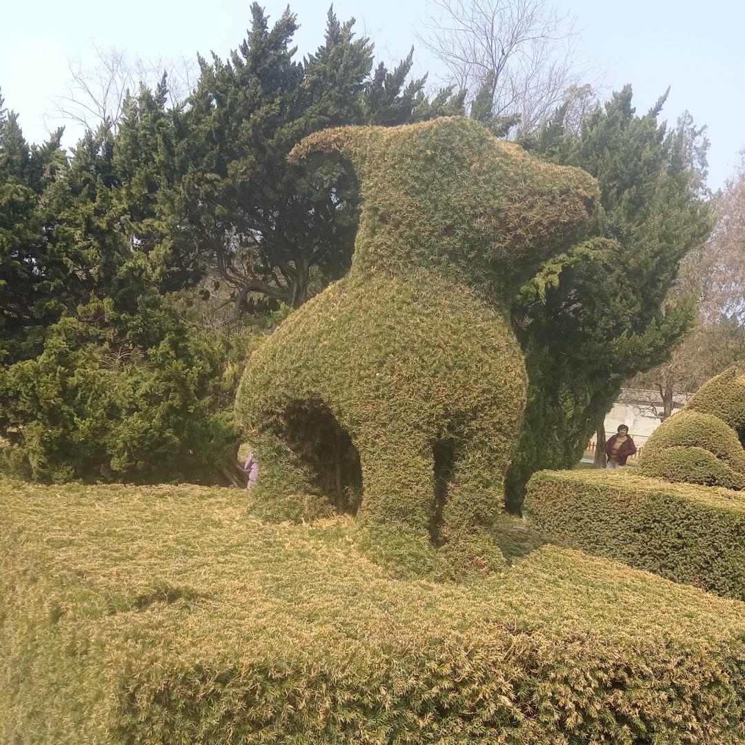 快乐每一天537