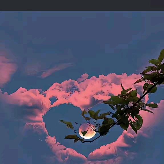 鸟动了，心没动