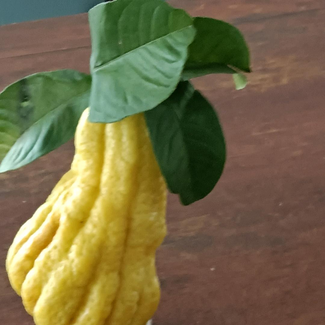 爱己停机