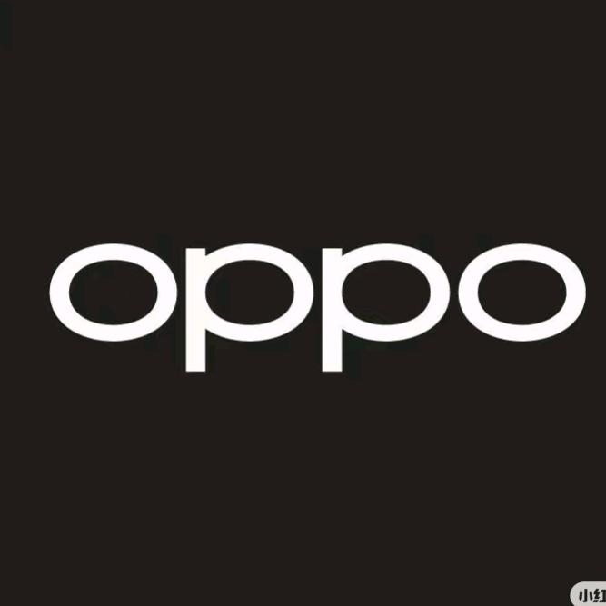 OPPO湖南-黔城飞龙店