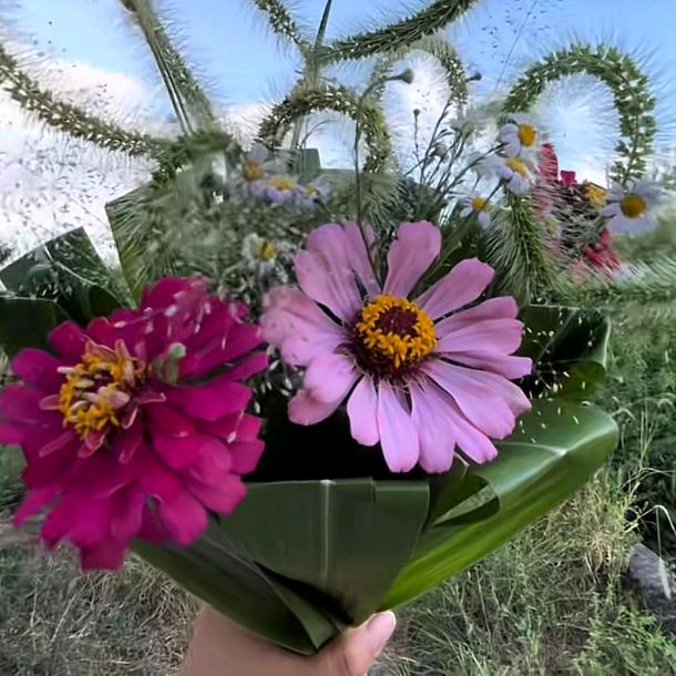 🍀五湖四海🍀