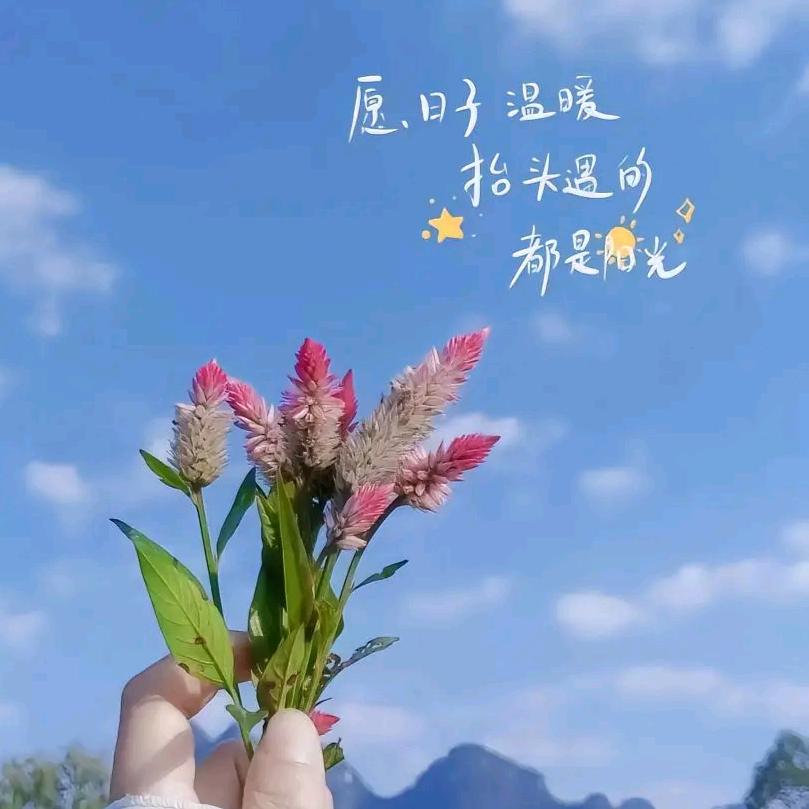 🍀悦己🌹