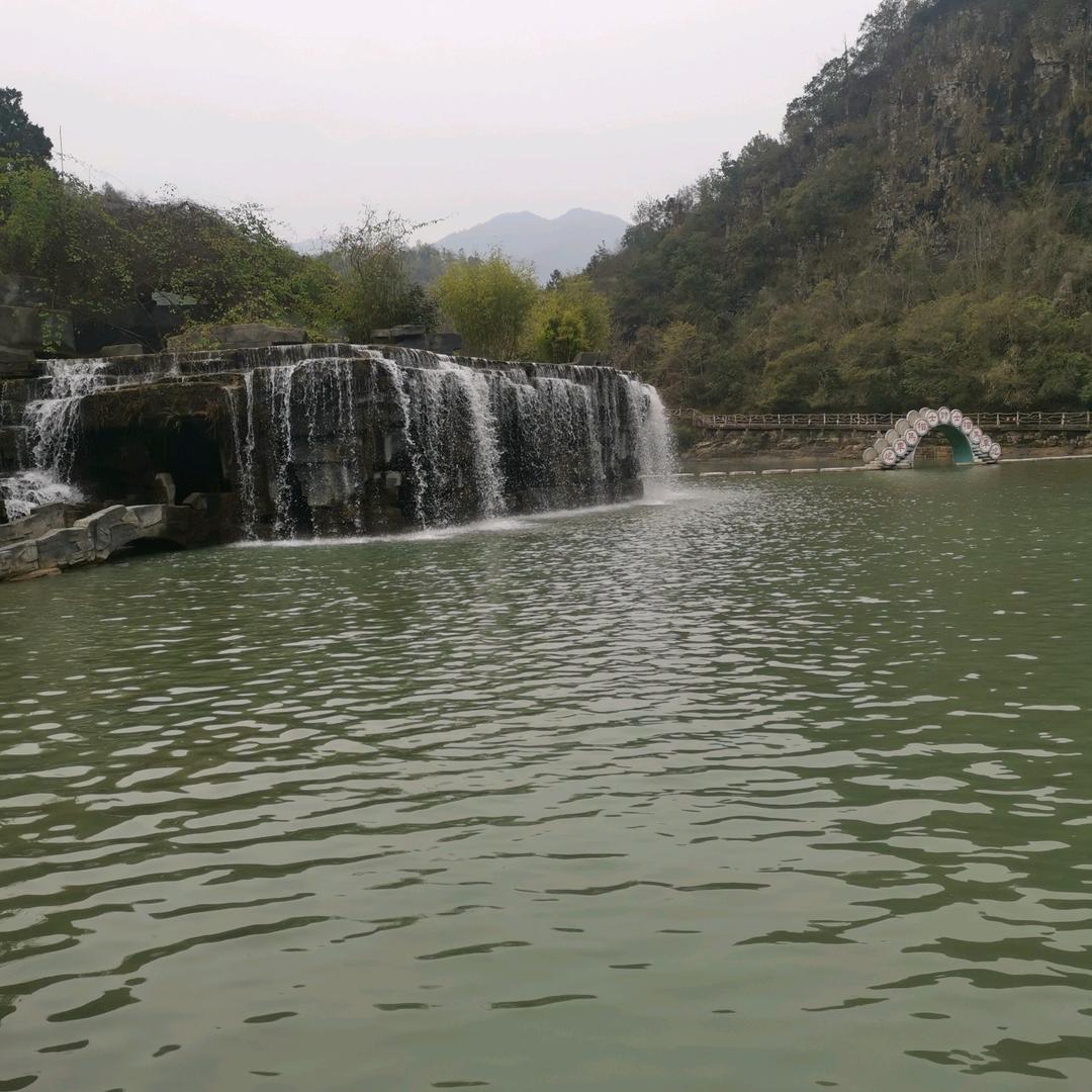 过目就忘