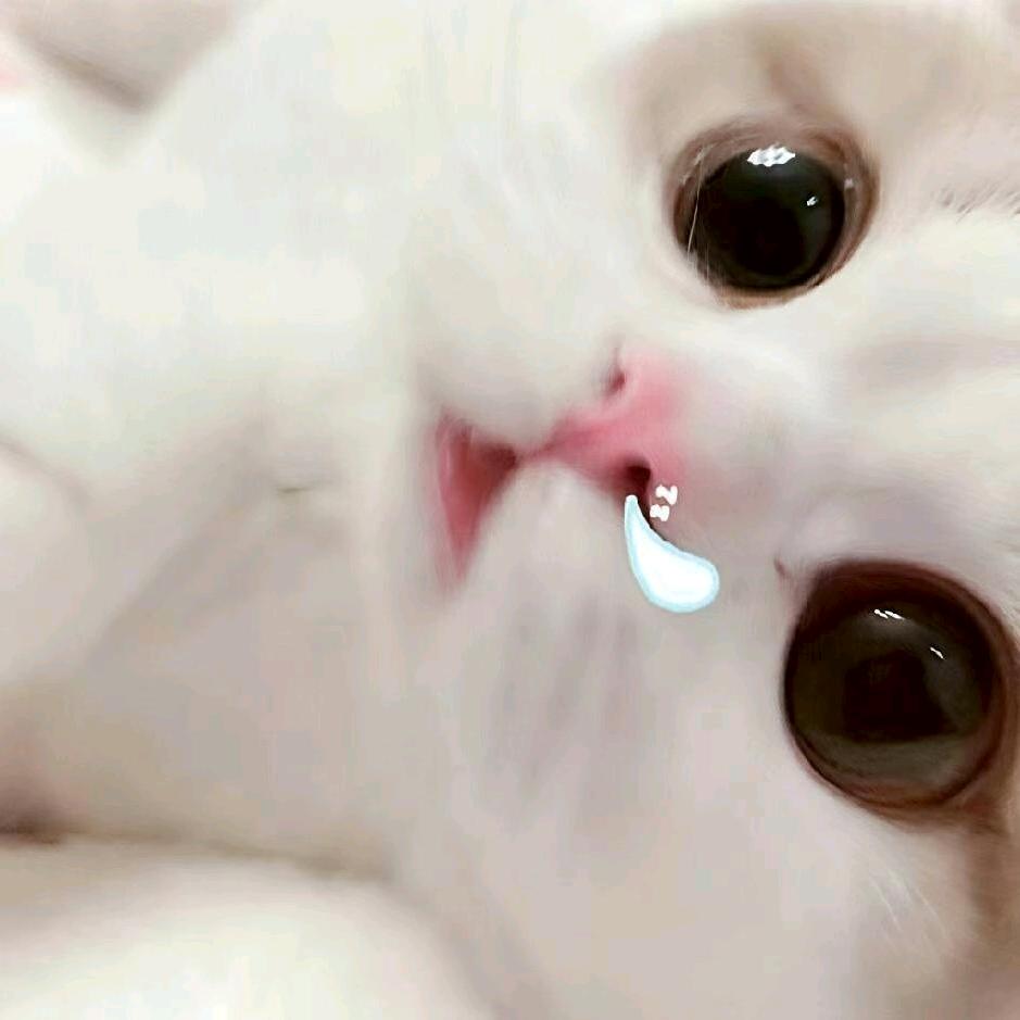 你眼底的悲观