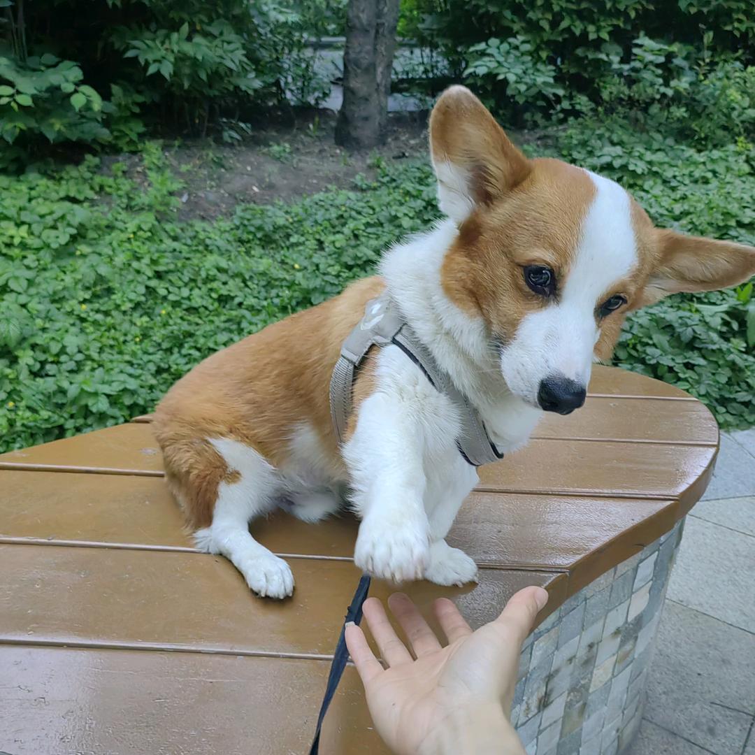 古希腊掌管快乐的神