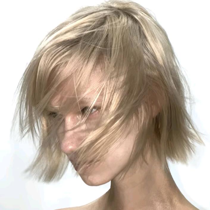 当了皇帝想成仙