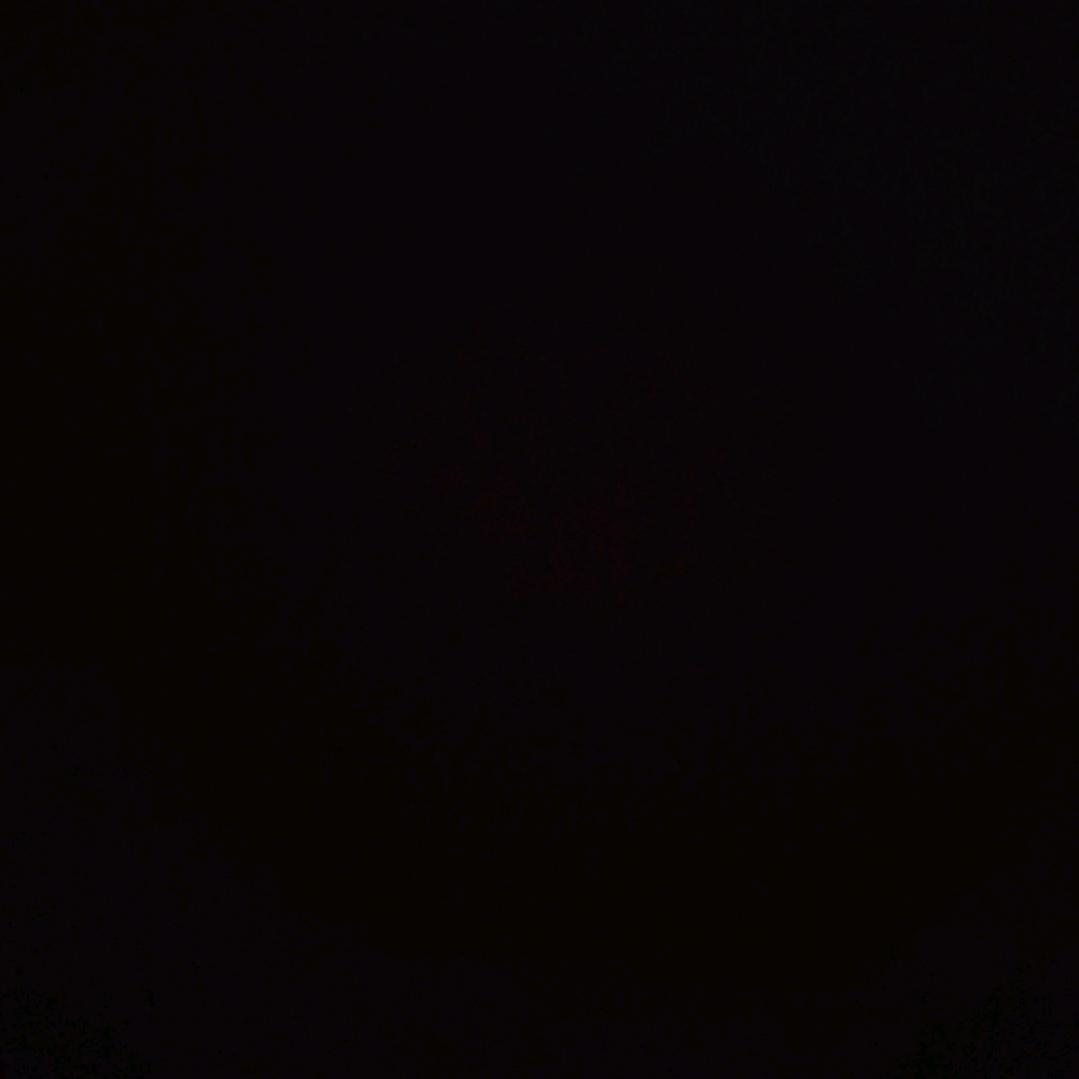 孤