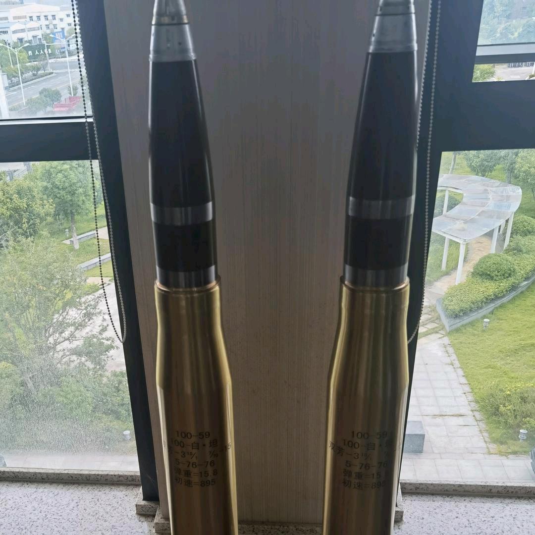 子心1203
